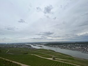 good view in Rydesheim