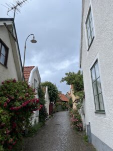 after the rain in visby